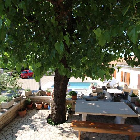 Apartments Vesna With Pool - New! Sveti Lovrec Pazenaticki Екстер'єр фото