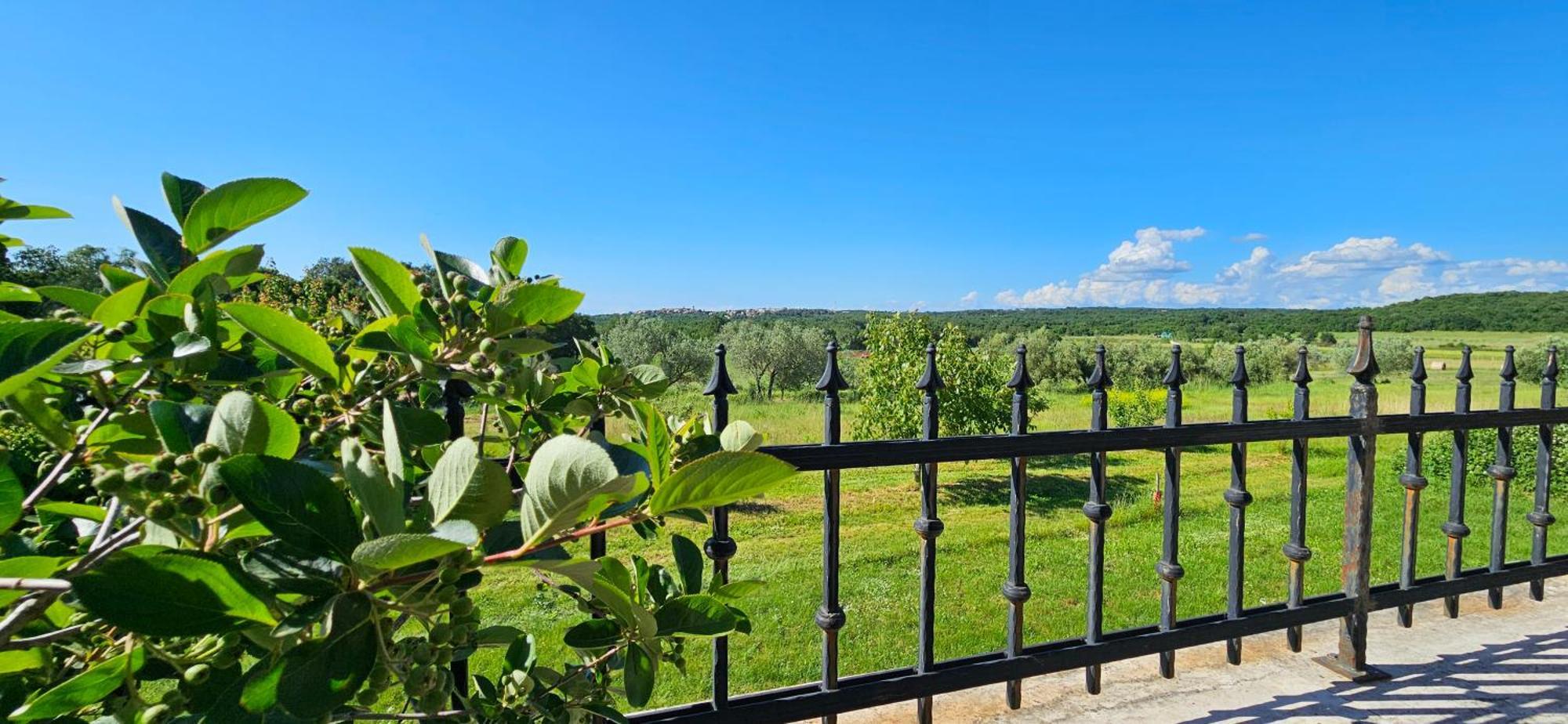 Apartments Vesna With Pool - New! Sveti Lovrec Pazenaticki Екстер'єр фото
